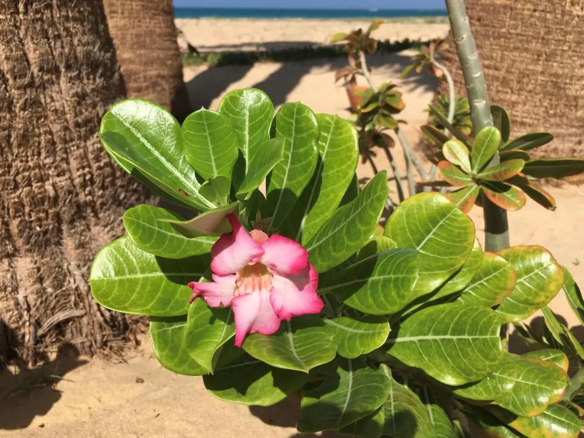 Villa Vila Mare - Praia De Chaves Frontline Rabil Cape Verde